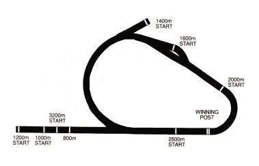 flemington race 7 results|Flemington Races Today, Saturday, Result & Replays .